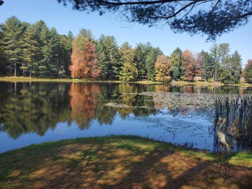 Huntington Mills Cama Y Desayuno | Paper Mill Pines Bed and Breakfast