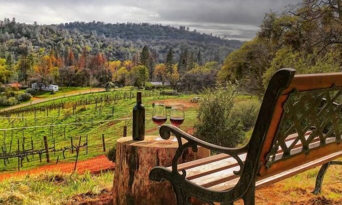 Mariposa Casa | Papillon Cellars