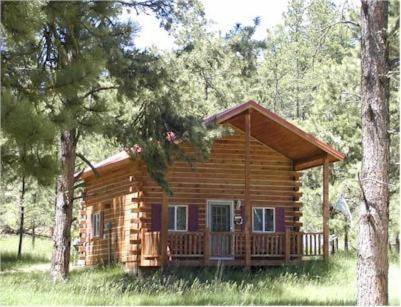 Custer Casa | Papoose