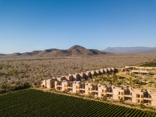 Todos Santos Hotel | Paradero Todos Santos - Exclusive experiences included