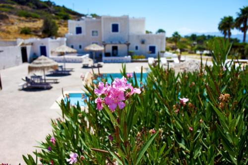 Ios Apartamento | Paradise Apartments Studios