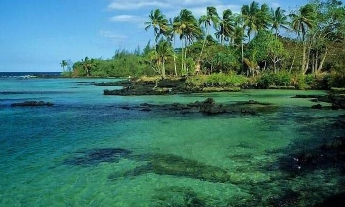 Keaau Apartamento | Paraíso tropical en un presupuesto!