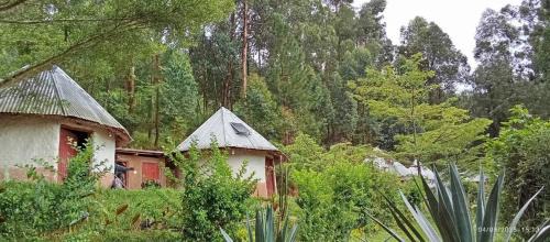 Kabale Apartamento | Paradise Resort