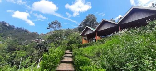 Shimla Complejo | Paradise Village Resort