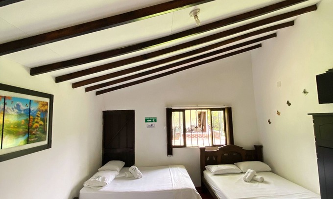 Salento Cama Y Desayuno | Paraiso Cocora