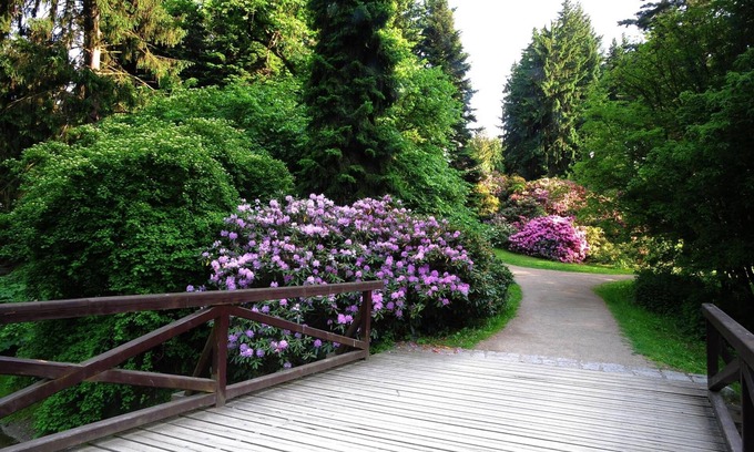 Pruhonice Hotel | Park Hotel Pruhonice