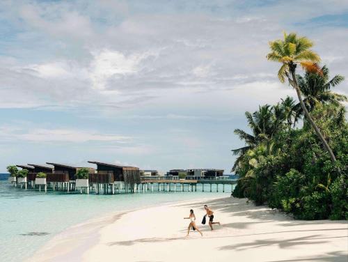 Hadahaa Complejo | Park Hyatt Maldives Hadahaa