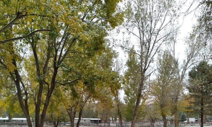 Beaver Alquiler De RV | Park your RV in a 1 acre yard where mule deer and wild turkeys roam daily.