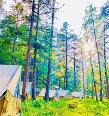 Chakrata Casa | Paryatan Homestay
