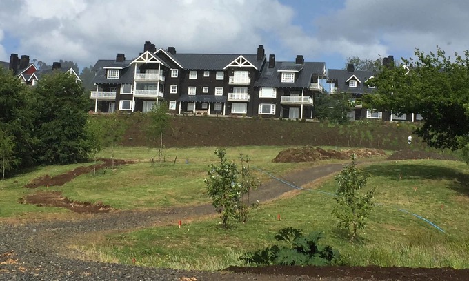 Frutillar Apartamento | Apartamento en la Patagonia Virgen Frutillar Lago Llanquihue, máximo 5-6 personas.