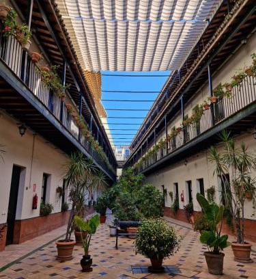 San Lorenzo Apartamento | Patio Cartuja