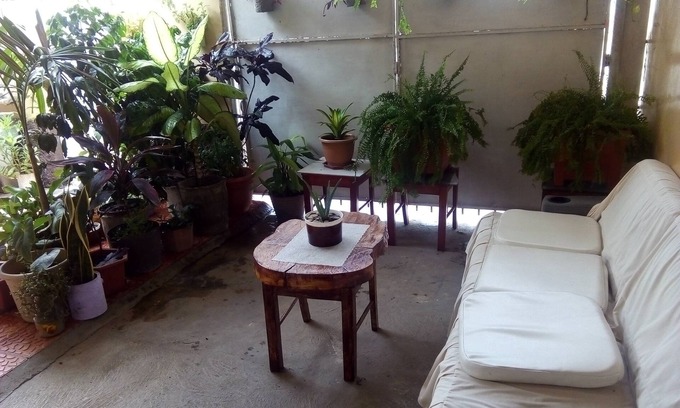 Comayagua Casa | Patio De Joan