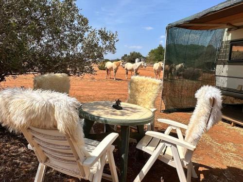 Lagos Casa | Pauls caravan for 4 - See the horses from your bed
