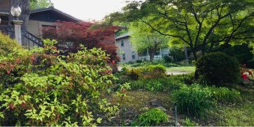 Morrilton Casa | Paw Paw Tree Estate with Guest House