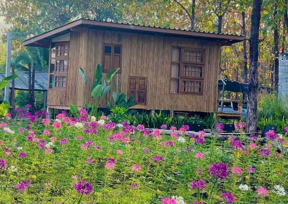 Nam Pat Otro | Payim farm พายิ้มฟาร์ม