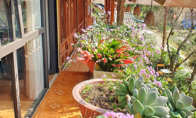 Sa Pa Casa | Peace Home