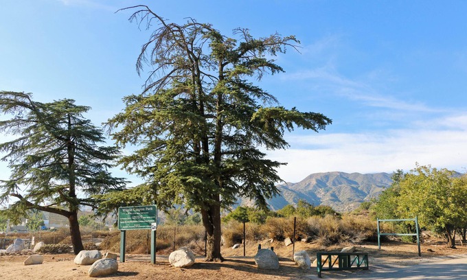 Sylmar Casa | Peaceful 1BR/1BA Retreat by the Mountains – A Cozy Escape in LA