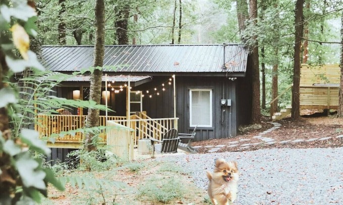 Ellijay Cabina | Peaceful 1br Cabin | Hot Tub | Pets Welcome!