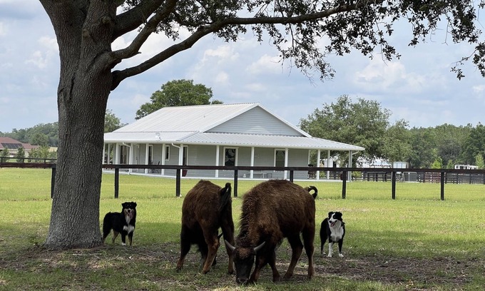 Morriston Otro | Peaceful and confortable 3/2 house in a Horse Farm
