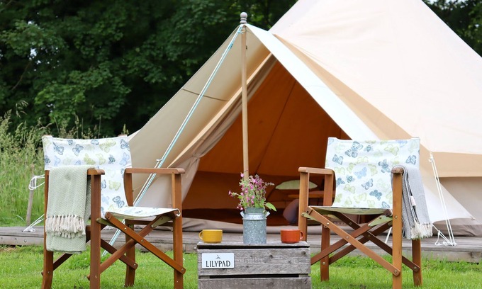 Swannington Cabina | Peaceful and hidden away in rural Norfolk, Lilypad sits amongst wild flowers