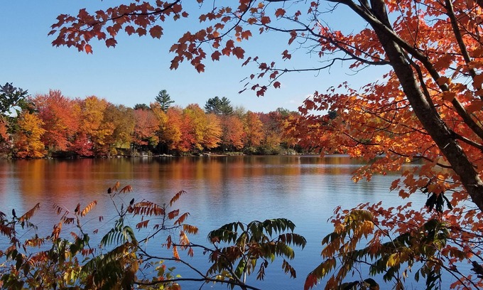 Wolfeboro Casa | Peaceful and spacious house. Snowmobile, XC Skiing just behind the house.