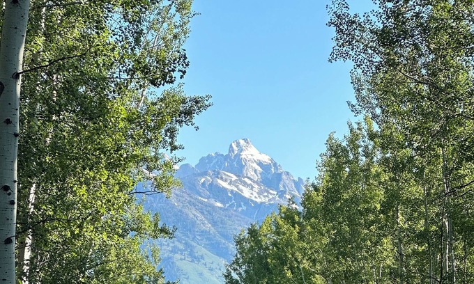 John Dodge Cabina | Peaceful Historic Cabin with fishing access on the Snake River!