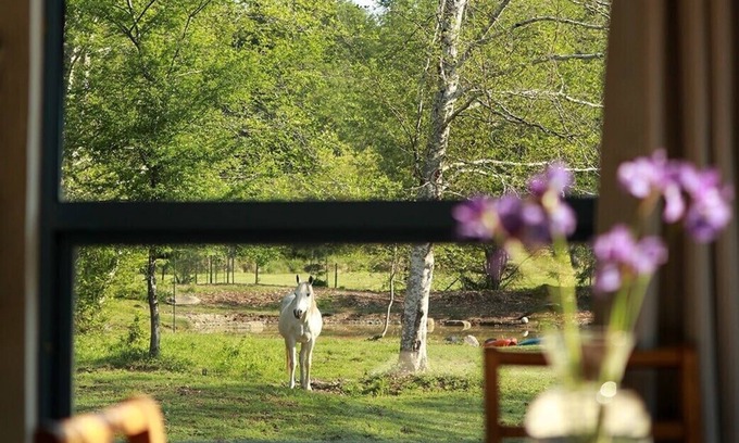 Denman Island Casa | Peaceful Island-style garden filled acreage