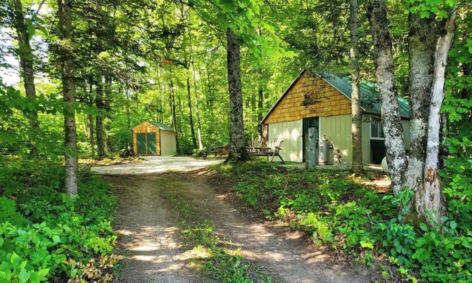 McMillan Cabina | Peaceful Little Cabin