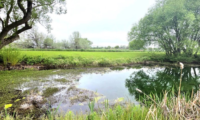 Spearfish Cabina | Peaceful pondside lodge-wildlife lover's dream!