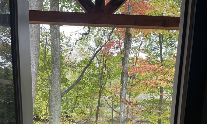 Clearfield Cabina | Peaceful Primitive Riverfront Cabin. Pet Friendly