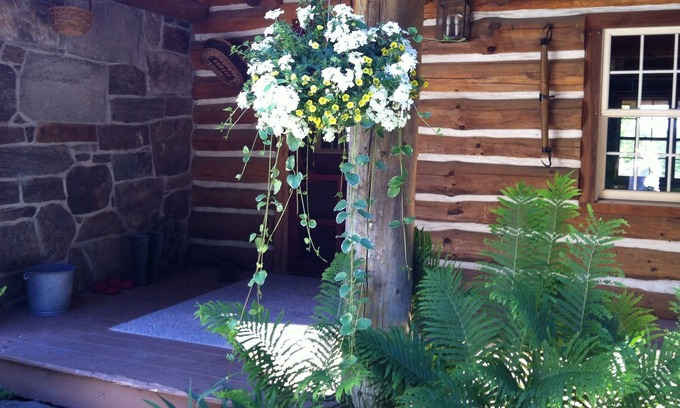 Clarendon Cabina | Peaceful Retreat surrounded by things to explore