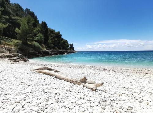 Veruda Apartamento | Pearl Apartment Pula