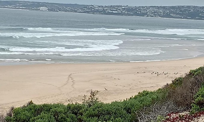 Keurboomstrand Casa | Pearly Beach House