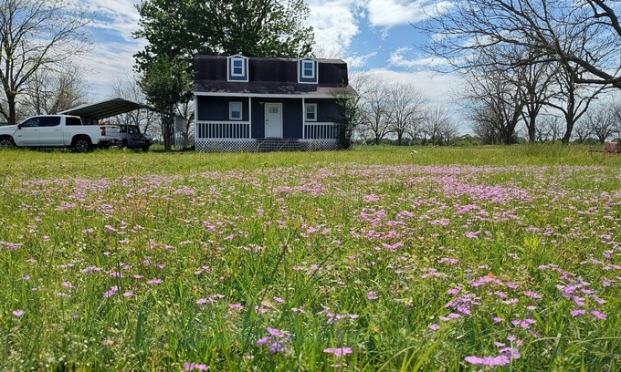 Waller Cabina | Pecan Farm Cabin