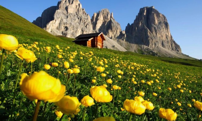 Soraga Apartamento | Apartamento Pederiva (SOF740) en Soraga di Fassa - 2 personas, 1 dormitorios