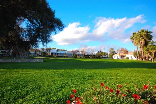 Santa Luzia Casa | Pedras D'el Rei Villa V1
