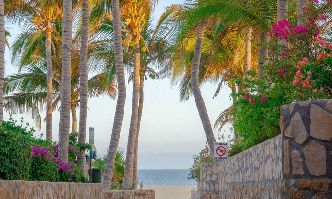 Pedregal Hotel | Pedregal Suites Downtown and Marina