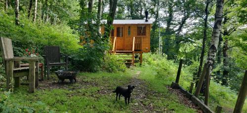 Hebden Bridge Otro | Peggy's Cabin in the Woods