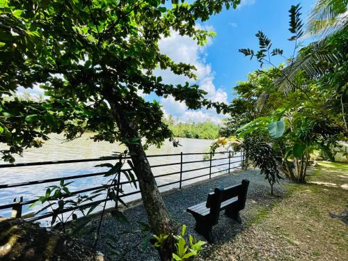 Pelena Hotel | Pelli Riverine