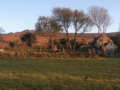 Newport Casa | Penfeidr Newydd