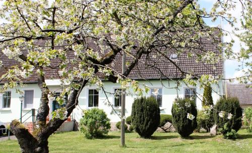 Templin Casa | Pension Gestüt Lindenhof