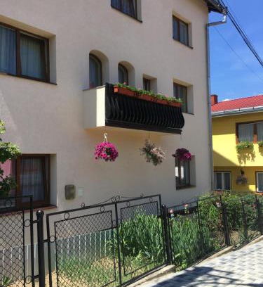 Vatra Dornei Casa | Pensiunea Alecsandra