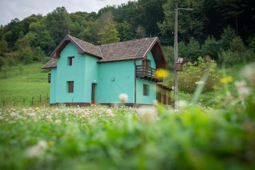 Rosia Casa | Pensiunea Green Roșia
