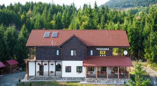 Bistrita Bargaului Casa | Pensiunea Ily