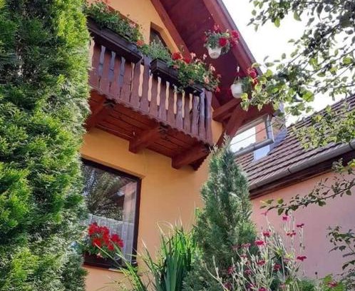 Danesti Casa | Pensiunea Lali Madaras Ciuc