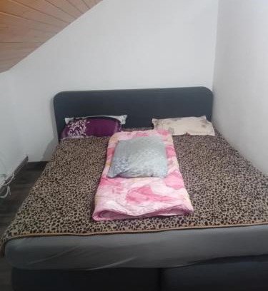 Viseu de Sus Chalet De Esquí | Pensiunea Leo