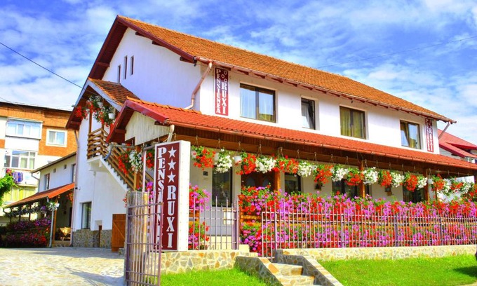 Curtea De Arges Casa | Pensiunea Ruxi