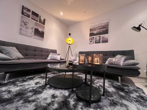 Hohegeiß Apartamento | Penthouse - Panorama Suite - Hohegeiß