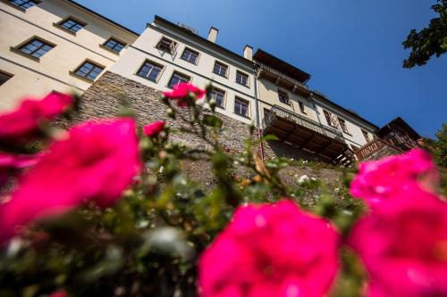Nove Mesto nad Metuji Apartamento | Penzion Šatlava