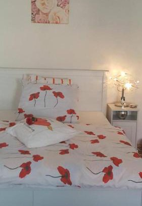 Moravska Trebova Apartamento | Penzion-apartmán U Johana